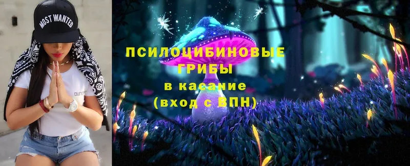 продажа наркотиков  Котельники  Псилоцибиновые грибы Magic Shrooms 